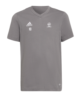 adidas Entrada 22 T-Shirt Kids Grau
