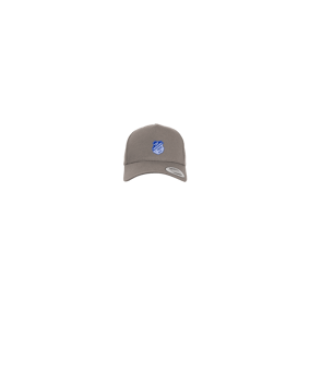 Merch 5 Panel Curved Snapback Cap Grey
