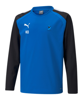 PUMA teamLIGA Sweatshirt Kids Blau F02