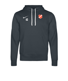 Nike Park 26 Hoody Grau F071