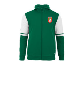adidas Squadra 25 Kapuzenjacke Kids Grün