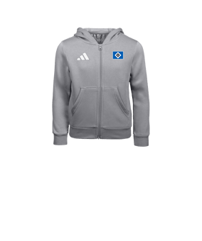 adidas Entrada26 Kapuzenjacke Kids Grau