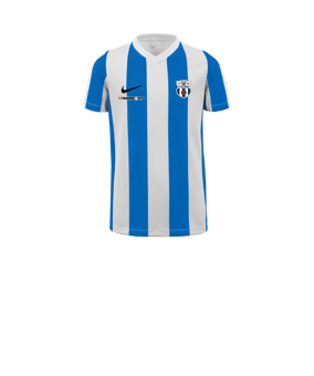 Nike Division V Striped Trikot Kids Weiss F101