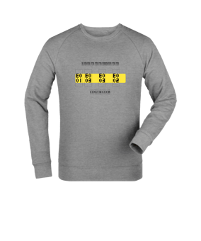 Merch Roller Sweatshirt Heather Grey | #established