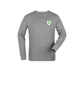 Merch Mini Changer 2.0 Sweatshirt Kids Heather Grey FC250