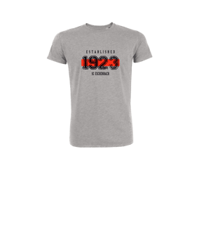 Merch Mini Creator 2.0 T-Shirt Kids Heather Grey | #established