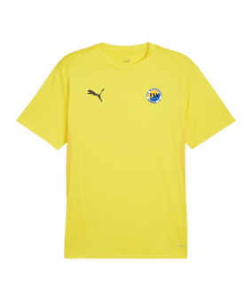 PUMA teamGOAL Trikot Gelb F07