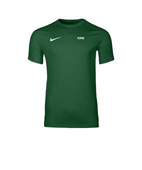 Nike Park VIII Trikot Grün F302