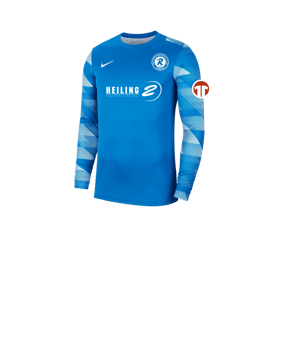 Nike Park IV TW-Trikot langarm Kids Blau F463