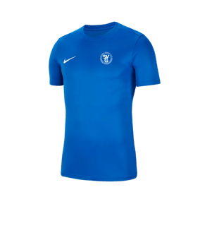 Nike Park VII Trikot kurzarm Blau F463