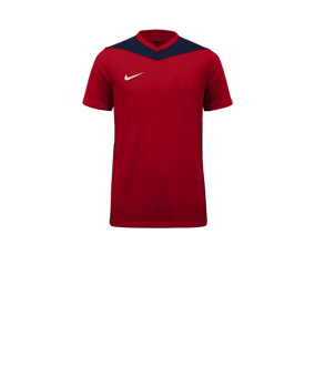Nike Park Derby IV Trikot Kids Rot Blau F658
