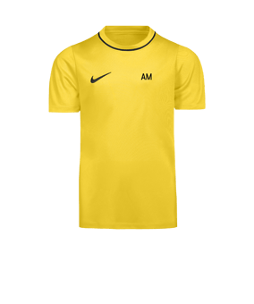 Nike Park 26 Trainingsshirt Kids Gelb F719