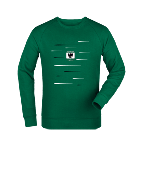 Merch Roller Sweatshirt Bottle Green | #lines