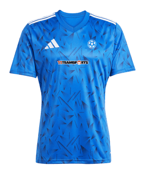 adidas Team Icon 25 Trikot Hellblau