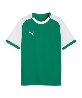 PUMA teamLIGA26 Matchday Trikot Kids Grün F05 - gruen