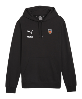 PUMA teamGOAL Casuals Hoody Schwarz F03