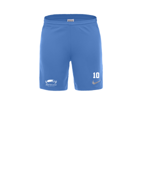 Nike Park III Short Blau F412