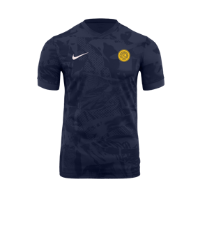 Nike Precision VII Trikot Blau F410