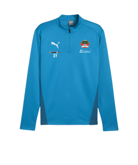 PUMA teamGOAL Training 1/4 Zip Sweatshirt Blau F02