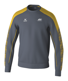 Erima Evo Star Sweatshirt Kids Grau Fslategreygelb