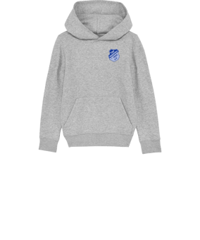 Merch Mini Cruiser 2.0 Hoody Kids H. Grey FC250