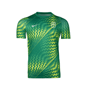 Nike Gardien VI Torwarttrikot Kurzarm Grün F324