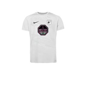 Nike Park VIII Trikot Kids Weiß F100