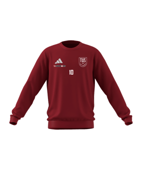 adidas Entrada 26 Sweatshirt Kids Rot