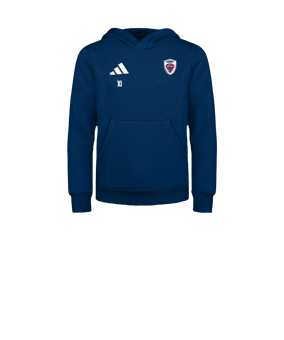adidas Entrada 26 Sweatshirt à capuche Enfants Bleu