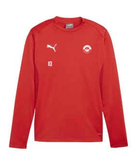 PUMA teamGOAL Training Sweatshirt Rot F01
