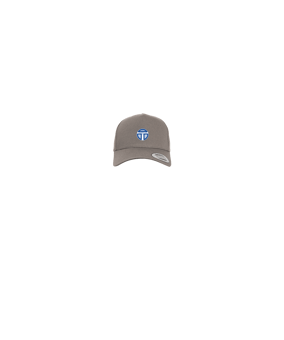 Merch 5 Panel Curved Snapback Cap Grey | #logo4c