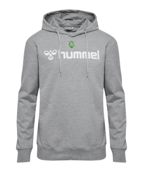 Hummel GO 2.0 logo Sweat à capuche gris F2006 