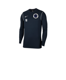 Nike Park 20 Sweatshirt Kids Blau F451
