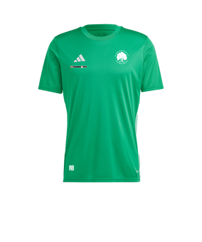 adidas Tabela 23 Trikot Grün Weiss