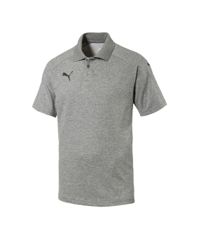 PUMA Ascension Poloshirt Grau F61 - grau