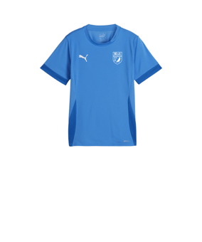 PUMA teamGOAL Matchday Trikot Kids Blau Weiss F02