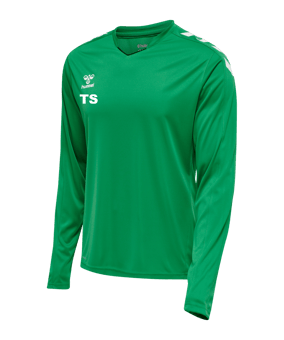Hummel hmlCORE XK Trikot langarm Grün F6235