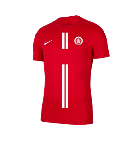 Nike Park VII Trikot kurzarm Rot F657
