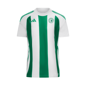 adidas Striped 24 Trikot Weiss Grün