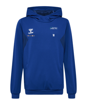 Hummel hmlAUTHENTIC PL Hoody Kids Blau F7045