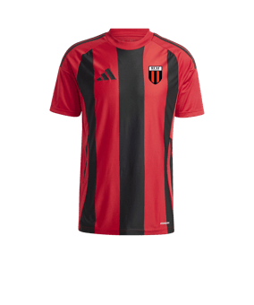 adidas Striped 24 Trikot Rot Schwarz