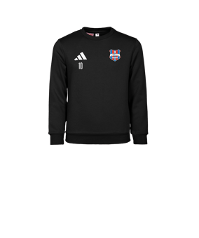 adidas Entrada 26 Sweatshirt Kids Schwarz