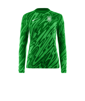 Nike Gardien V Torwarttrikot Damen Grün F329
