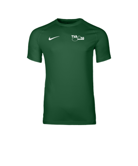 Nike Park VIII Trikot Grün F302