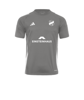 adidas Tiro 24 Trikot Grau Weiss