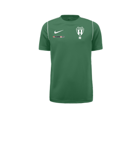 Nike Park 20 T-Shirt Kids Grün F302