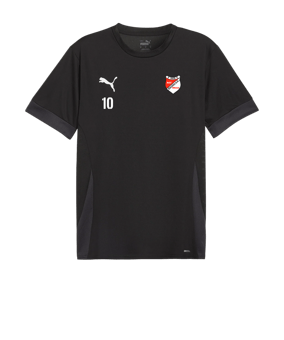 PUMA teamGOAL Matchday Trikot Schwarz Weiss F03