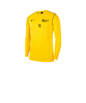 Nike Park 20 Sweatshirt Kids Gelb F719