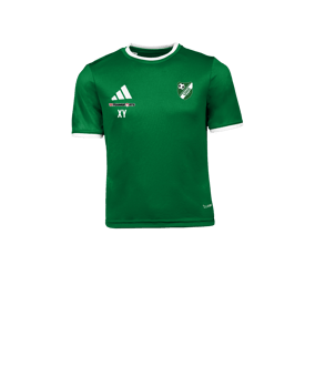 adidas Entrada 26 Trikot Kids Grün