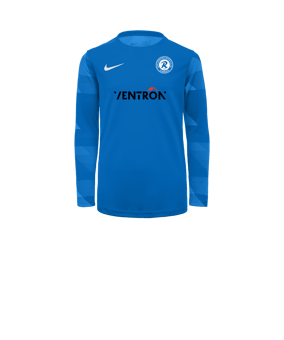 Nike Park IV TW-Trikot langarm Kids Blau F463